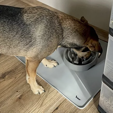 Silicone bowl pad Purlov 24295