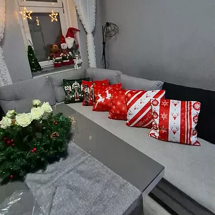 Decorative pillowcase 45x45xcm Ruhhy x4 24827