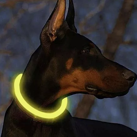 LED light collar - adjustable Purlov 24200