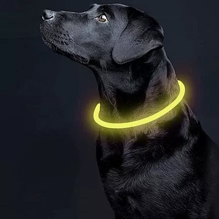 LED light collar - adjustable Purlov 24200