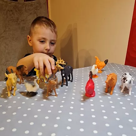 Farm Animals - Kruzzel Figurine Set