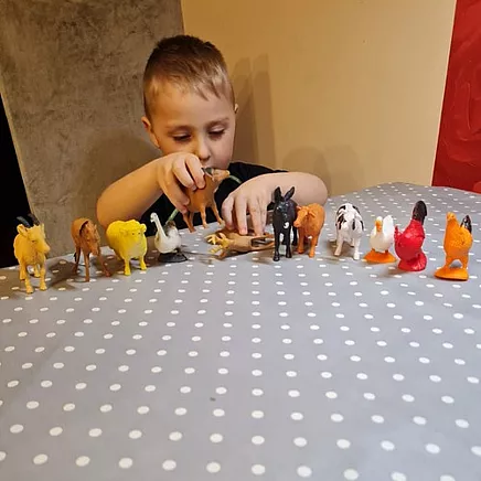 Farm Animals - Kruzzel Figurine Set