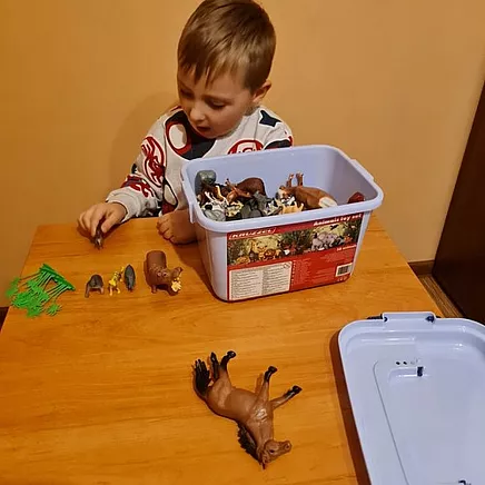 Rotaļu Dzīvnieki - Kruzzel Figūriņu Komplekts 24816