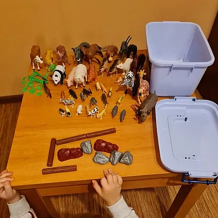 Rotaļu Dzīvnieki - Kruzzel Figūriņu Komplekts 24816