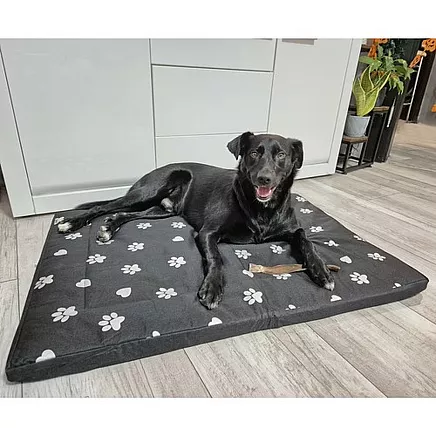 Dog bed 100x70cm Purlov 24862