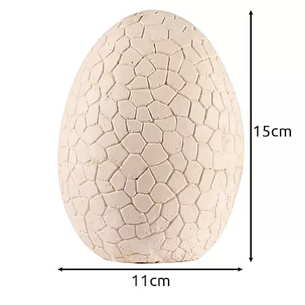 Dinosaur Egg - Excavation Site 24981