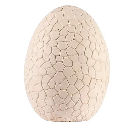 Dinosaur Egg - Excavation Site 24981