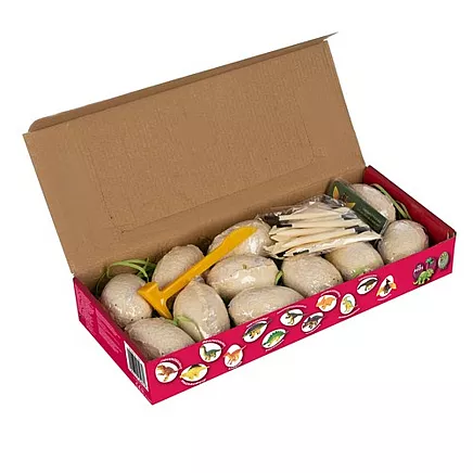 Dinozauru izrakumu komplekts bērniem Kruzzel 24982