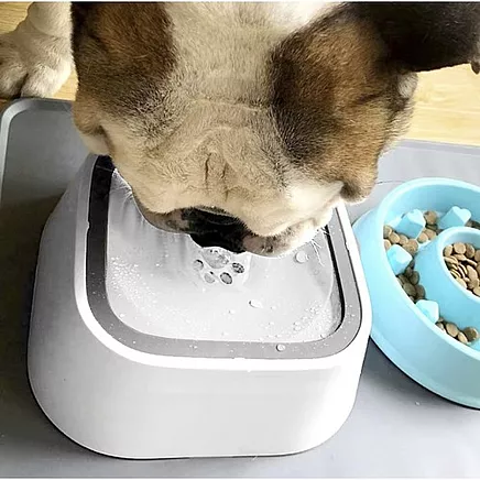 Water bowls - set of 2 Purlov 24342