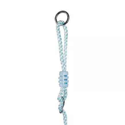 Plastic swing - blue 25446