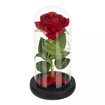 Mūžīgā roze stikla kupolā ar LED apgaismojumu Ruhhy 25682