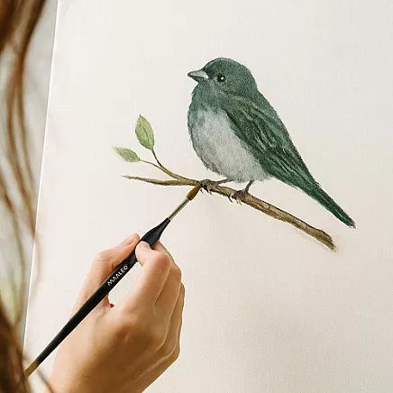 Mākslinieku otas Maaleo 26119 ar statīvu, 5 gab., melnas