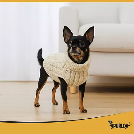 Dog/cat clothes size S beige Purlov 26216