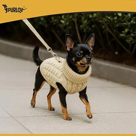 Dog/cat clothes size S beige Purlov 26216