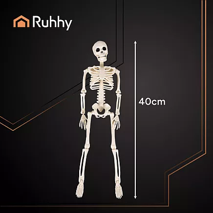 Skeleton - decoration 40cm Ruhhy 26027
