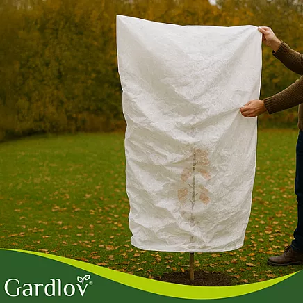 Plant hood 1.6x1m Gardlov 26549