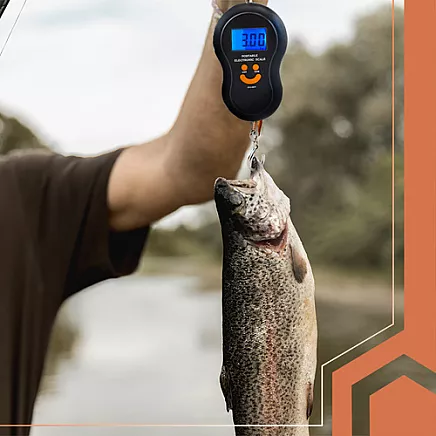 Ruhhy 26103 Hook Scale