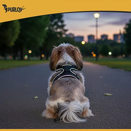 Regulējami bezspiediena iemaukti sunim un kaķim M Purlov 26870 ar pavadu