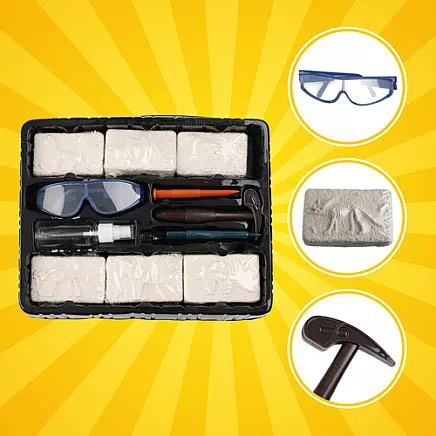 Dinosaur Excavation Set