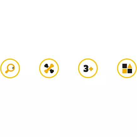 Dinosaur Excavation Set