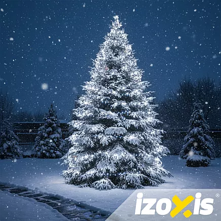 Outdoor lights 500LED 35m white Izoxis 24899