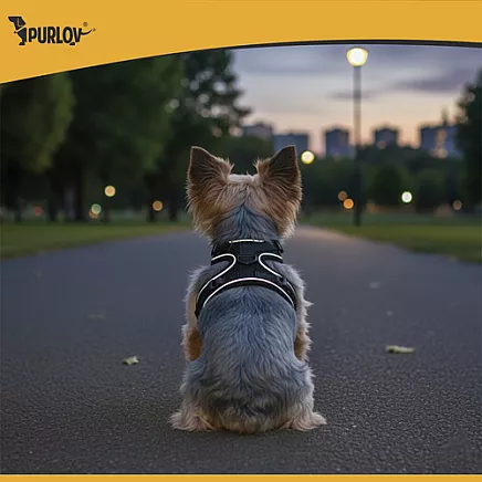 Bezspiediena iemaukti suņiem un kaķiem S Purlov 26868