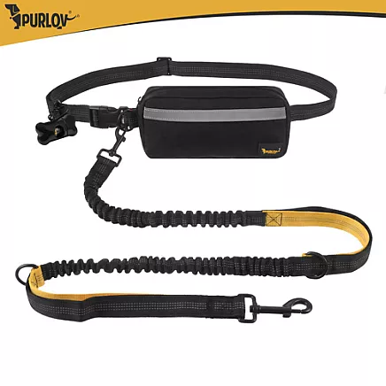 Pas biodrowy ze smyczą Purlov 24689