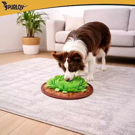 Zabawka - mata węchowa dla psa Purlov