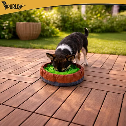 Zabawka - mata węchowa dla psa Purlov