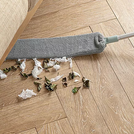 Ruhhy Telescopic Dusting Brush