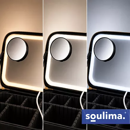 Soulima 27236 LED Cosmetic Case with Mirror
