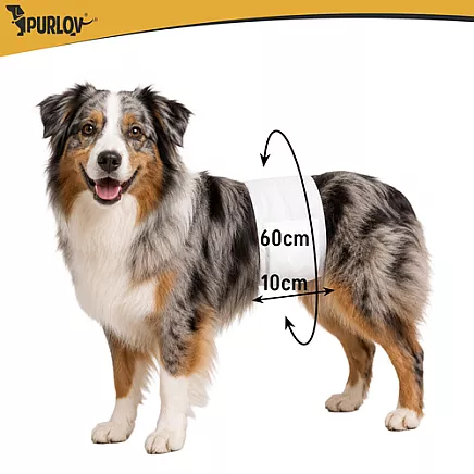 Dog diapers size ML Purlov