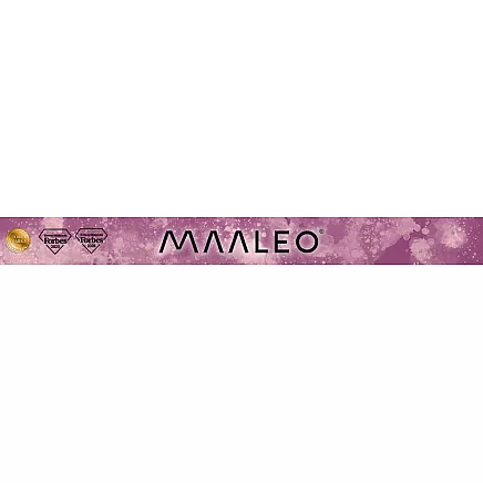 Maaleo 24-compartment document folder