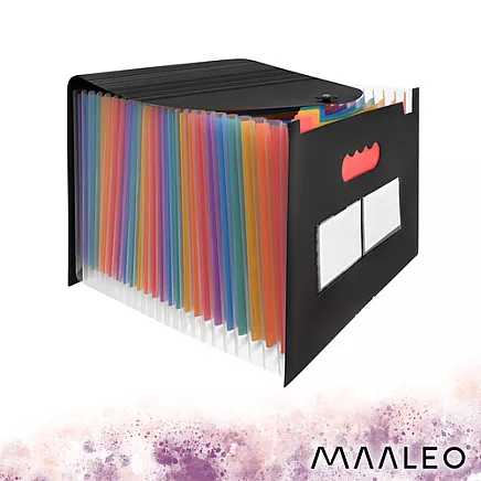 Maaleo 24-compartment document folder