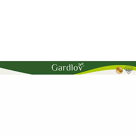 Gardlov 23731 Garden Kneeler