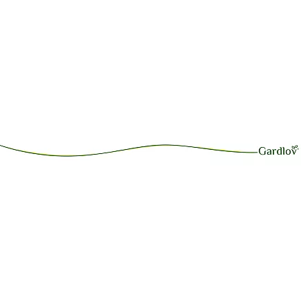 DriveXPro Gardlov petrol lawn mower