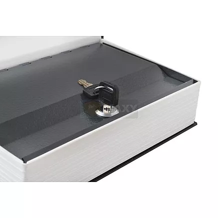 Safe - a box hidden in a book