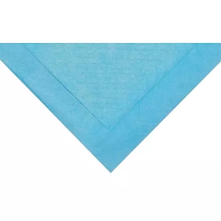 Absorbējošie Paladziņi Mājdzīvniekiem, 45x60 cm, 50 gab.