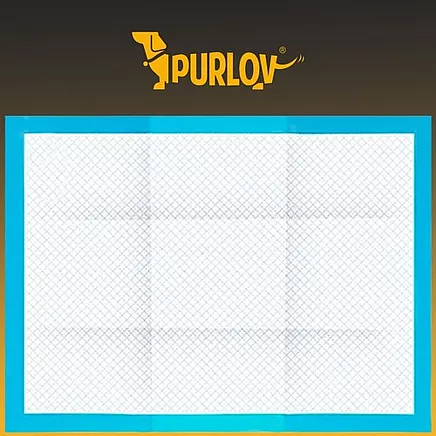 Absorbent hygienic pad - 100 pcs + bags