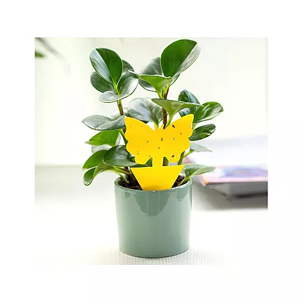 PLANT LABELS 12 PCS (300)