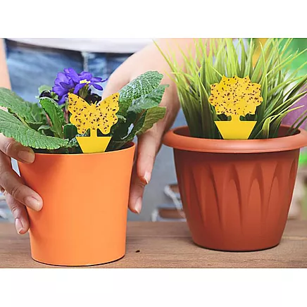 PLANT LABELS 12 PCS (300)
