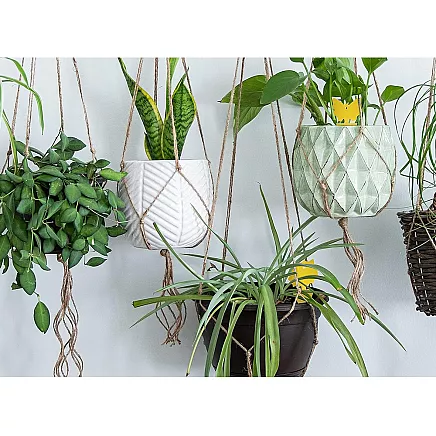 PLANT LABELS 12 PCS (300)