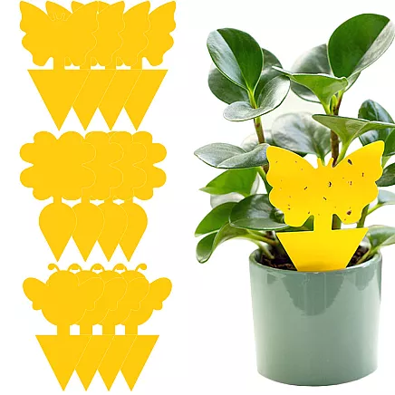 PLANT LABELS 12 PCS (300)