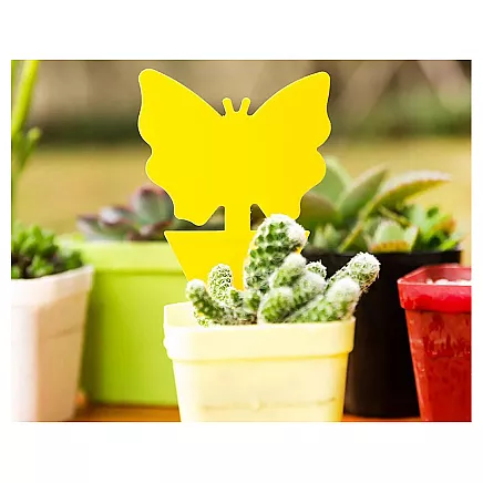 PLANT LABELS 12 PCS (300)