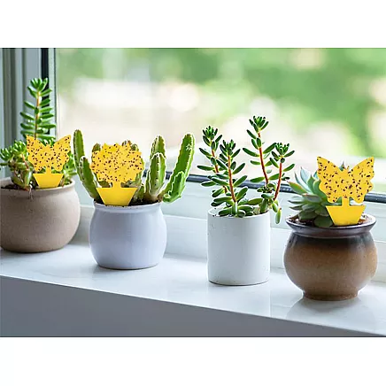 PLANT LABELS 12 PCS (300)