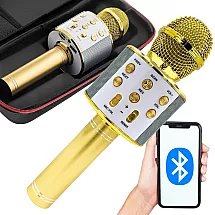 Bezvadu karaoke mikrofons ar Bluetooth skaļruni, atbalss efektu un maciņu