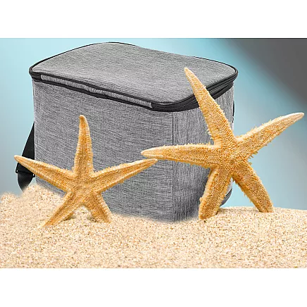 Thermal bag lunch box picnic food for the beach for drinking fridge 16l