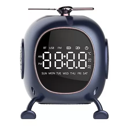 BLUETOOTH SPEAKER (20)