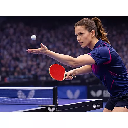 2x ракетки для пинг-понга настольного тенниса мячи чехол чехол