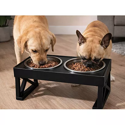 Raised double dog and cat bowl on a stand – 2x large, stainless steel